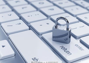 美國網(wǎng)絡(luò)安全專業(yè) 聚焦網(wǎng)絡(luò)與信息安全軟件開發(fā)，解析未來就業(yè)前景